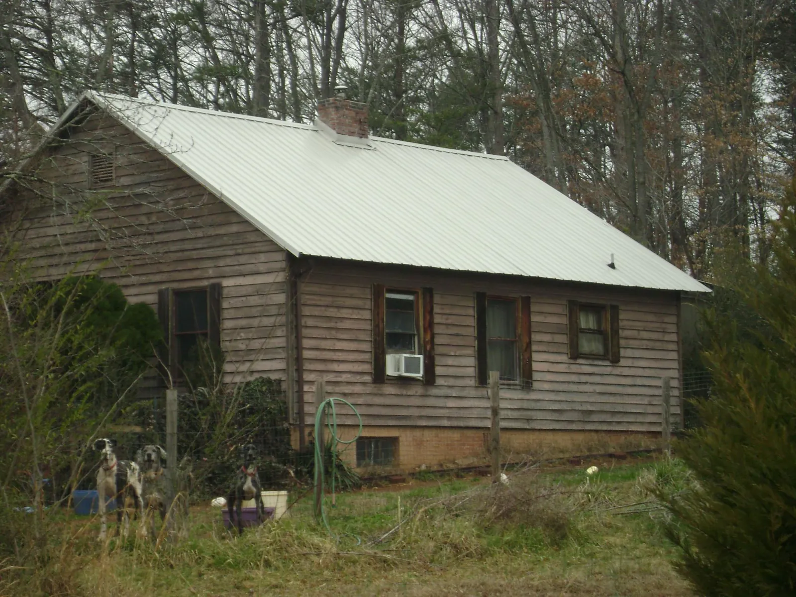White metal roof on an old wood sided farmhouse, from a Metal Roof Installation job in Paul Smiths